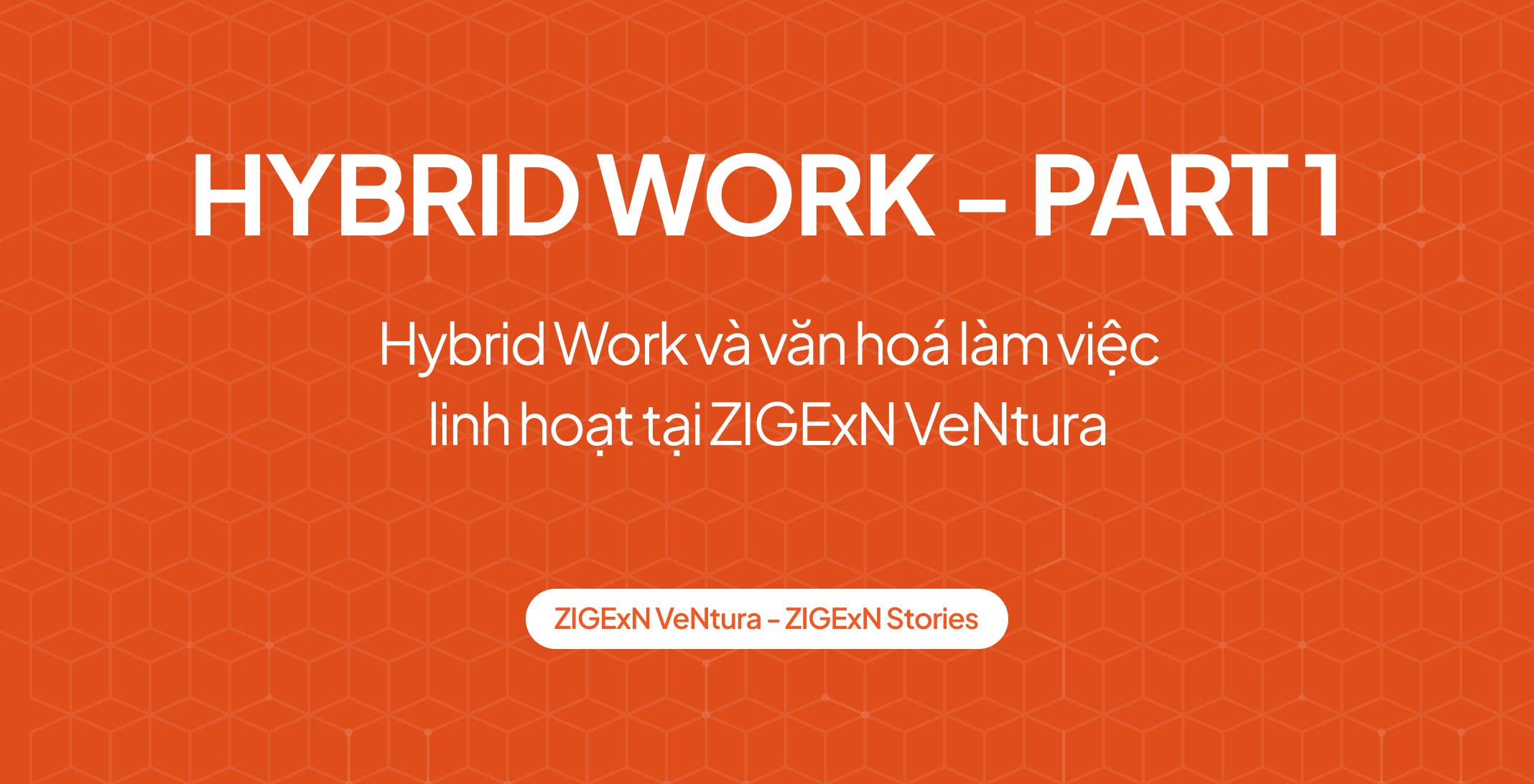 Part 1: Hybrid Work và văn hoá làm việc linh hoạt tại ZIGExN VeNtura