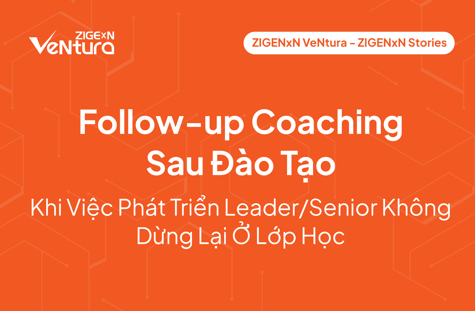 Follow-up Coaching Sau Đào Tạo: Khi Việc Phát Triển Leader/Senior Không Dừng Lại Ở Lớp Học